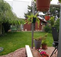 The garden at the family house on Brusnicová Street in Chorvátsky Grob with a swing and a gazebo.