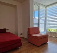 A room in a family house with a red sofa and an armchair, large window with horizontal blinds.