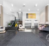 Reception with a sofa, elevators, and staircase in commercial premises.
