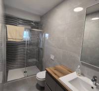 A bathroom in a 4-room apartment with a sink, shower, and toilet.