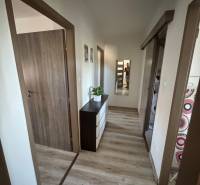 A hallway in a 3-room apartment with a mirror, wooden floor, and doors.