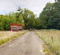 The path leads to the forest in Pezinok, suitable for residential plots - nature within reach.