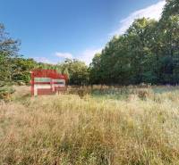 Plots - living in Pezinok surrounded by grass and forest.