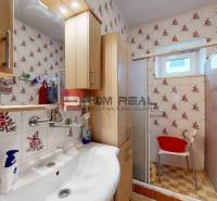 A bathroom with a shower, a washing machine, and floral tiles in a family house.