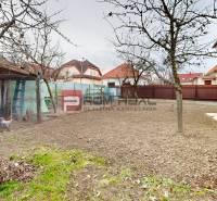 The yard of a family house on Farebná Street in Bratislava II with trees and a chicken coop.
