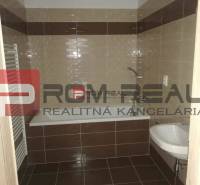 Bathroom with a shower and a sink in a 2-room apartment on Slavomírova Street.