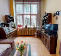 Living room in a two-room apartment with antique furniture, a television, and a large window.
