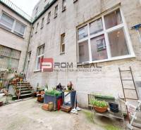 An inner courtyard with plants and a ladder in a 2-room apartment.