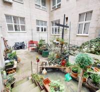 A courtyard full of plants and decorations at a 2-room apartment on Gorkého Street in Bratislava - Old Town.