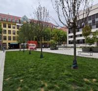 A lawn with a path, benches, and modern buildings on Gorkého Street in Bratislava - Old Town.