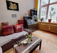 Living room in a two-room apartment with a sofa, plants, and a wooden dresser.
