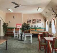 Interior of dining spaces with wooden furniture and trophies on the walls.