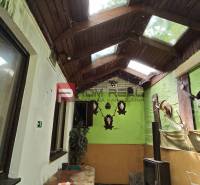 A wall with animal trophies in a dining area with a wooden ceiling and windows.