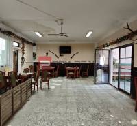 Interior of dining spaces with chairs and tables, decorated with hunting trophies and plants.