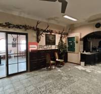 Interior of a gastro space with hunting decorations, chairs, and a bar counter.