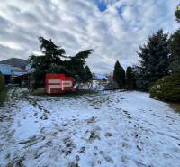 The garden of a family house in Trnava with a lawn, a snowy area, and trees.