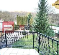 The garden of a family house in the village of Píla with ornamental trees and wrought iron railings.