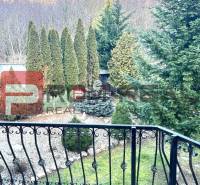 The garden of a family house in Píla with a view of coniferous trees beyond the fence.
