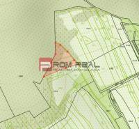 Cadastral map in Limbach showing the boundaries of plots designated for residential use.