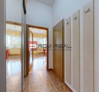 A hallway in a one-room apartment with a coat rack wall, doors, and a view into the living room.