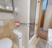 Bathroom with toilet and shower in a studio apartment.