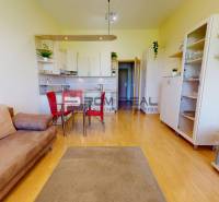 Living room with a sofa bed, table, red chairs, and a kitchenette in a studio apartment.