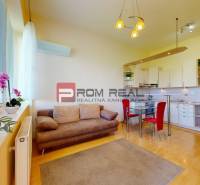 Living room in a studio apartment with a comfortable sofa, dining table, and kitchenette.