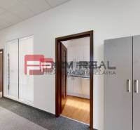 Office spaces with entrance doors and lighting, Prorom Real.