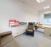 Offices with a sofa and an armchair, bright walls, window, Bratislava - Staré Mesto, Vajnorská.
