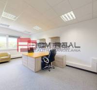 Office interior with a desk, chairs, and a window, bright and spacious furnishings.