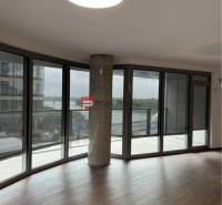 Interior of commercial spaces with large windows and wooden flooring.