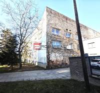 A building on Ľ. Podjavorinská Street covered with climbing plants, with a tree standing next to it.