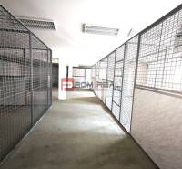 Hallway with network storage spaces inside the building on Ľ. Podjavorinská Street.