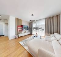 A bright living space with a sofa and television in a two-room apartment.