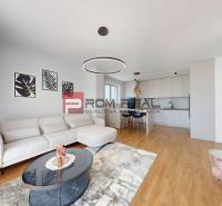 Living room with kitchen, sofa, dining area, and decorations in a 2-room apartment.