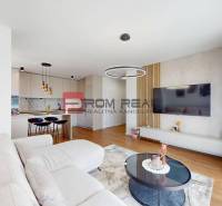 Living room in a two-room apartment with a kitchenette and a large television.