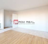 A spacious room in a 2-room apartment with laminate flooring and white walls.