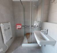 Bathroom in a 2-room apartment with a sink, shower corner, and ladder radiator.