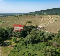 Vast vineyards, green fields, trees along Limbašská road, ideal for a 2-room apartment.