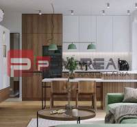 Living room and kitchen with wooden furniture and green accents in a 2-room apartment Pezinok.