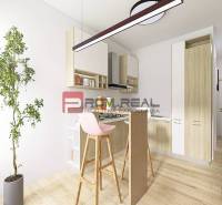 A kitchen corner with light wood, a plant, and bar stools in a studio apartment.