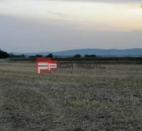 A view of agricultural and forest land on Senecká Street at sunset.