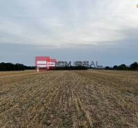 A field on Senecká Street with agricultural and forest land, surrounded by trees.
