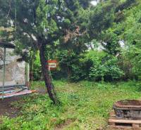 Greenery and a destroyed building near Holubyho Street in Pezinok, Land - housing.
