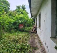 A plot of land on Holubyho Street in Pezinok, overgrown with greenery, with an adjacent building.