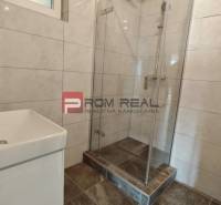 A bathroom in a 4-room apartment with a shower and a sink.