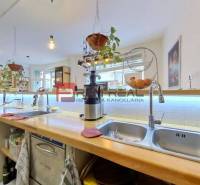 A kitchen space with a wooden countertop, hanging plants, and dishes.