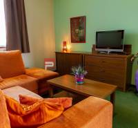 Living room in hotels and guesthouses, with a sofa, television, picture, and decorations.