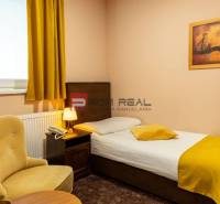 Single room with a chair and a painting in hotels and guesthouses.