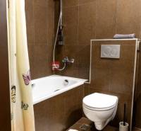 Bathroom with a bathtub, shower, and toilet. Hotels and guesthouses.